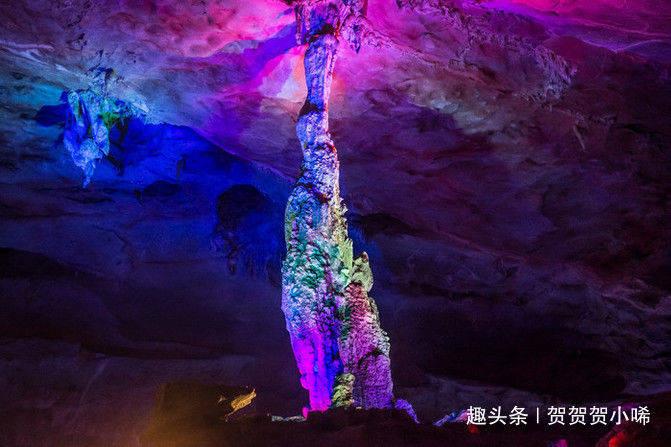 小猫钓鱼游戏龙王版有船