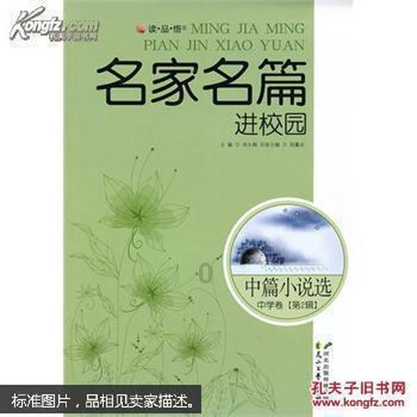 墙面翘皮返碱怎么办游戏画面