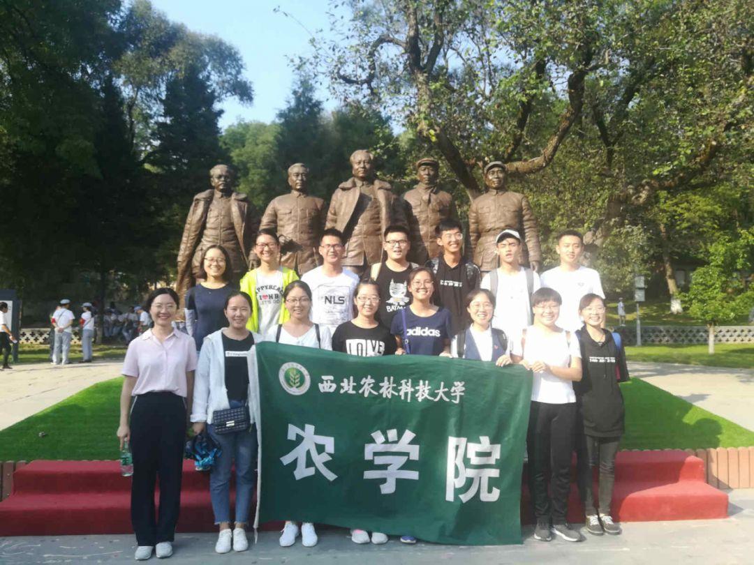 请问探颜找对象靠不靠谱?游戏画面
