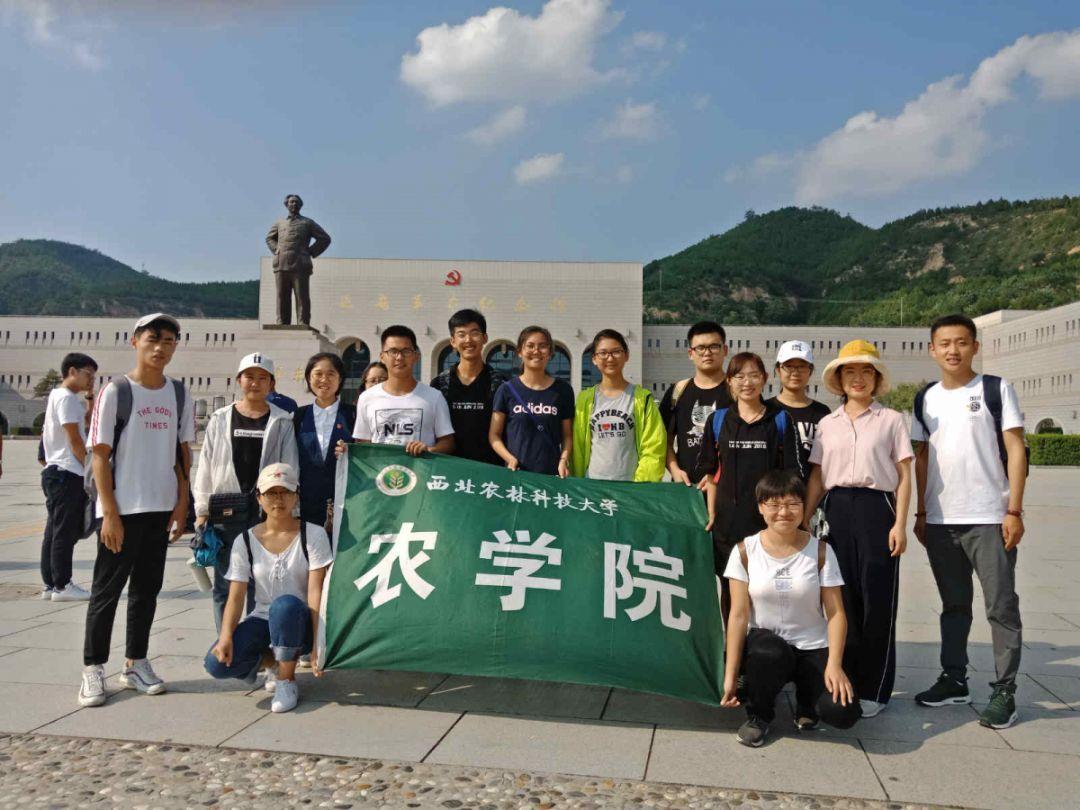 信长之野望13