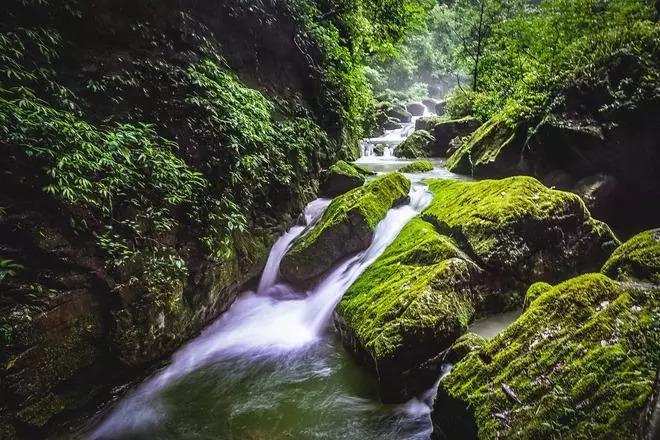 鲁媒：泽卡受伤部位没完全消肿，短时间恢复最佳水平可能性下降