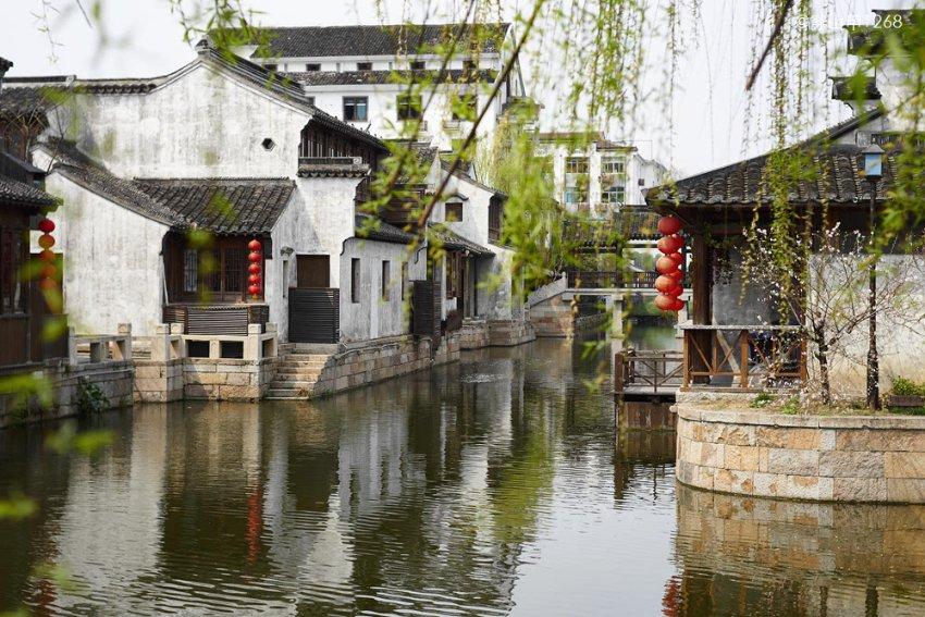 植物大战僵尸6