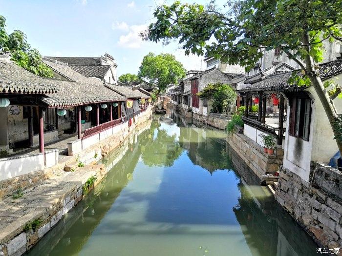 济南高校保安殴打流浪狗,流浪狗在学校晃悠如何处理? - 专业问答,即刻解答您的问题